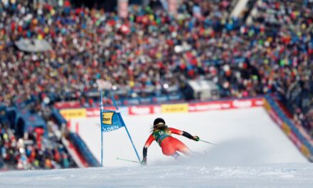 Découvrez le calendrier de la saison 2025-2026