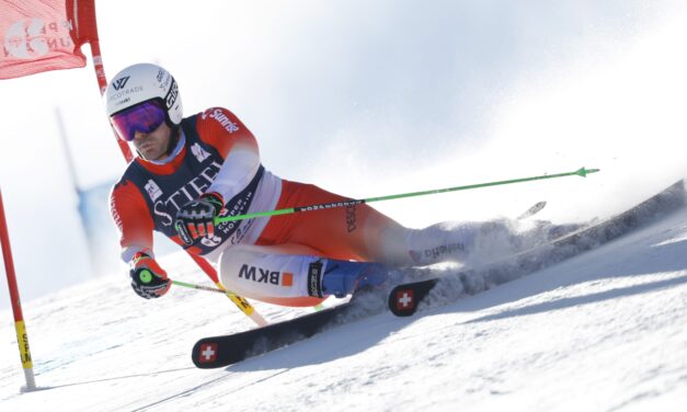 Les Suisses se cherchent encore en géant