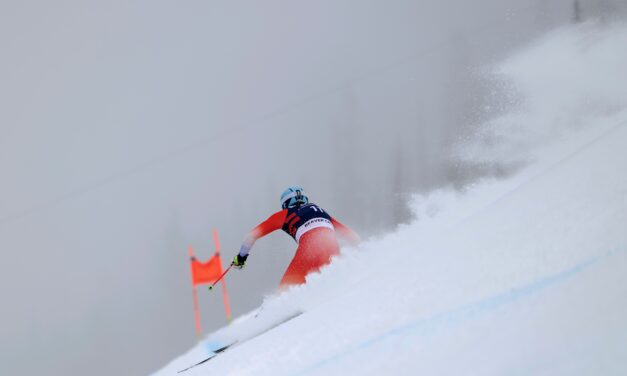 Alexis Monney et Stefan Rogentin dans le coup à Beaver Creek