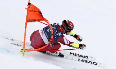 Fin de saison pour Stefan Eichberger