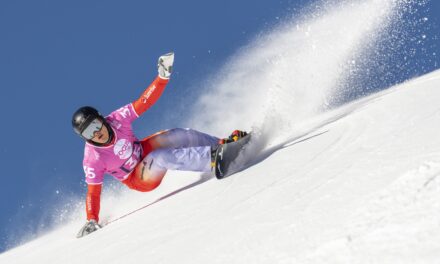 Les Suisses plafonnent en quarts de finale