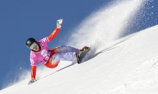 Les Suisses plafonnent en quarts de finale