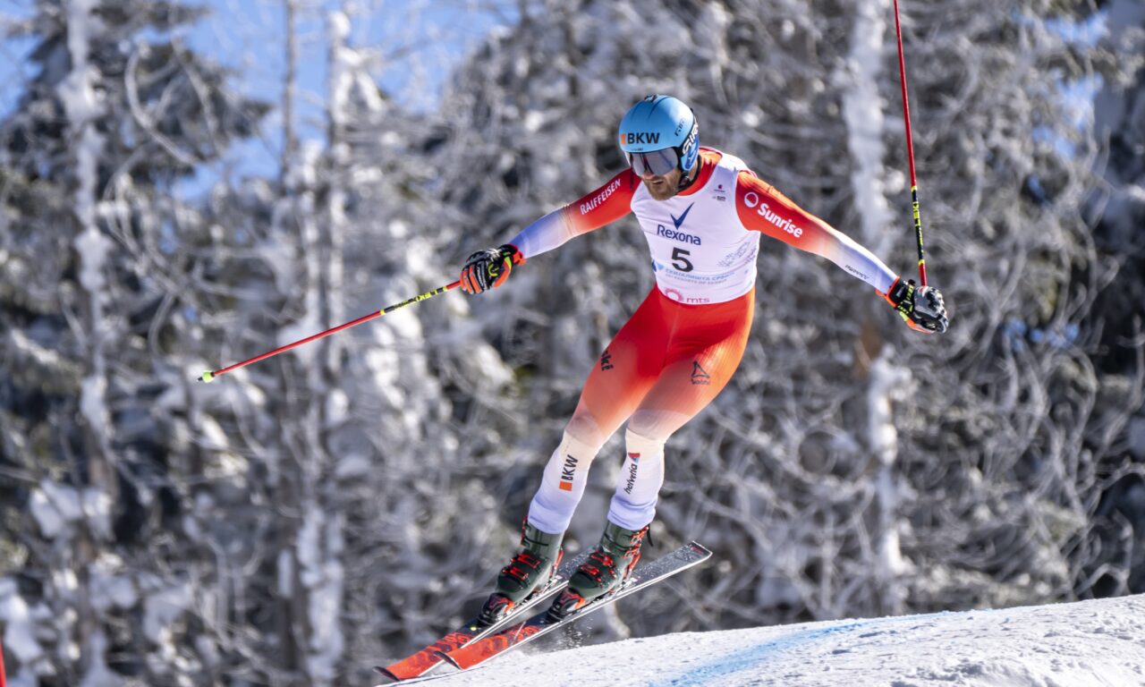 Chaos en finale du skicross, pas de podium suisse