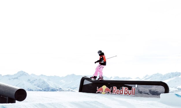 Andri Ragettli et Kim Gubser en finale du slopestyle